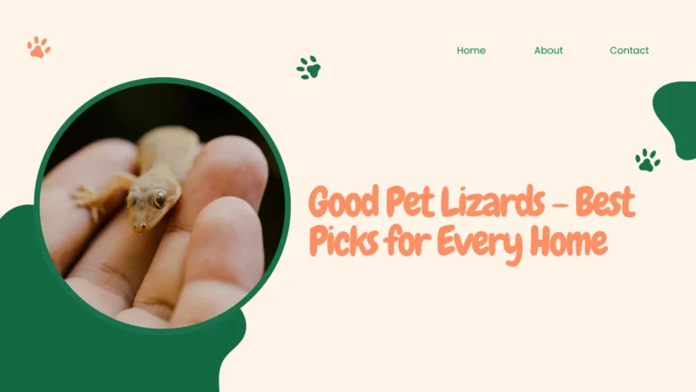 Good pet lizard, a bearded dragon, resting calmly on an owner's hand