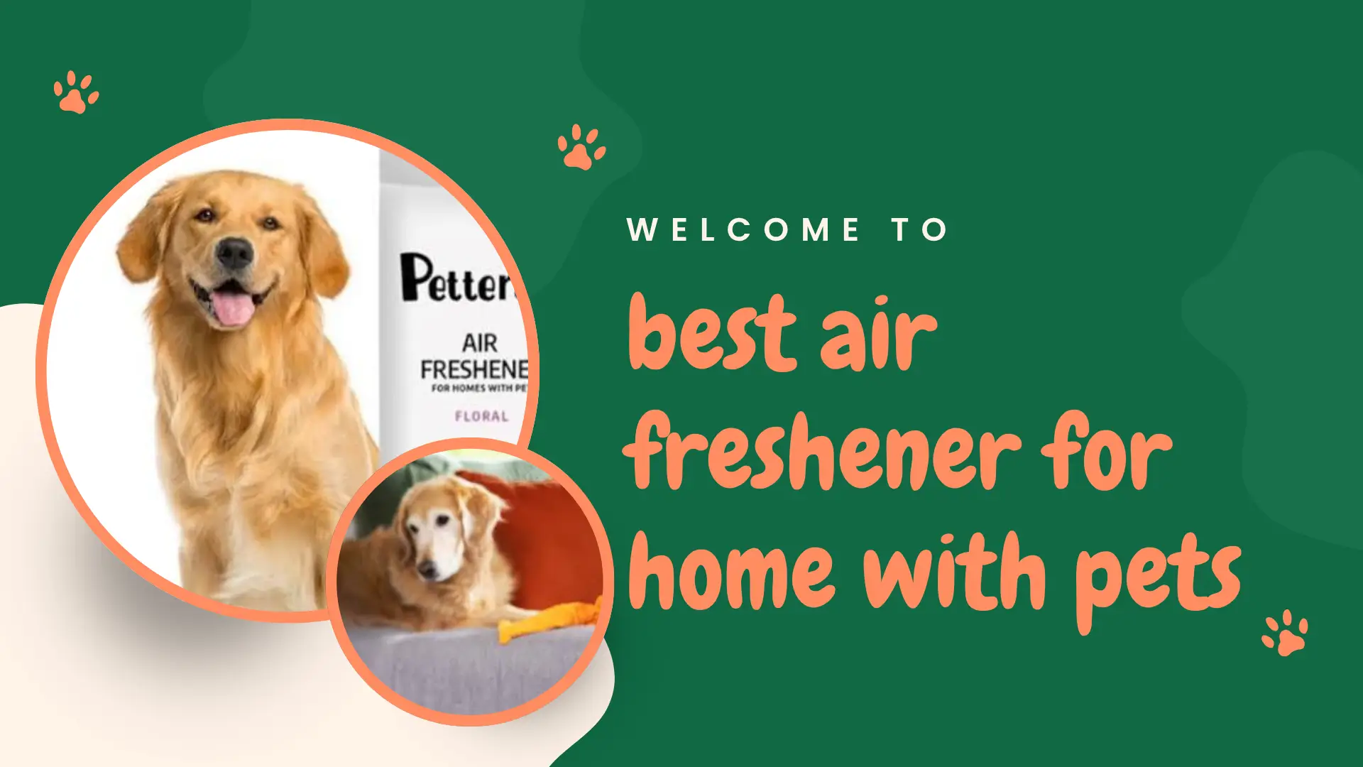 best air freshener for home with pets shown in a clean living room with a dog and cat