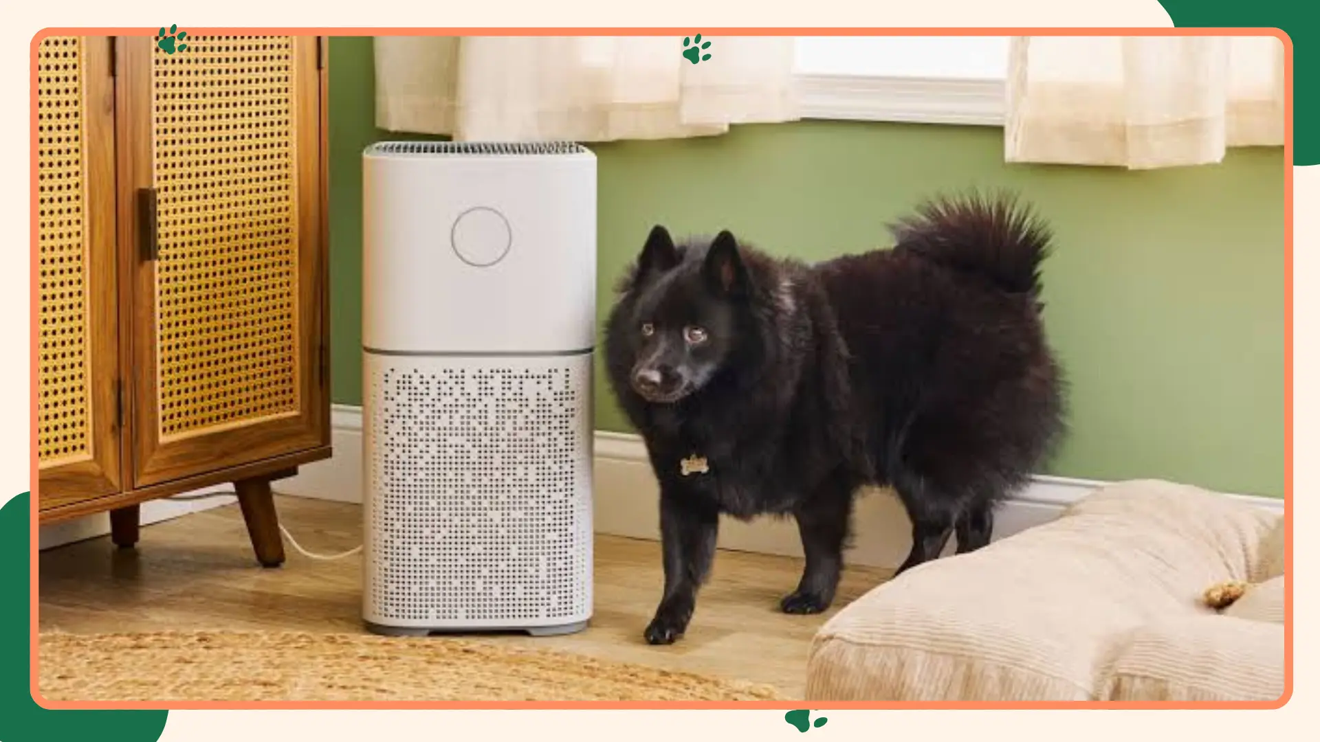Best Air Purifier Pets

