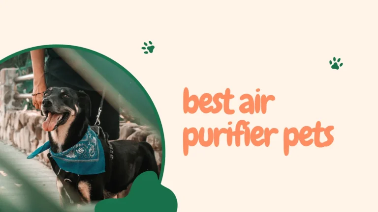 best air purifier pets