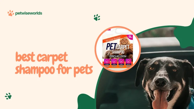 Best carpet shampoo for pets used to clean a dog urine stain on carpet
