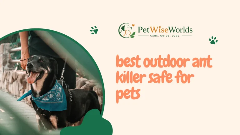 best outdoor ant killer safe for pets bait stake in backyard near dog