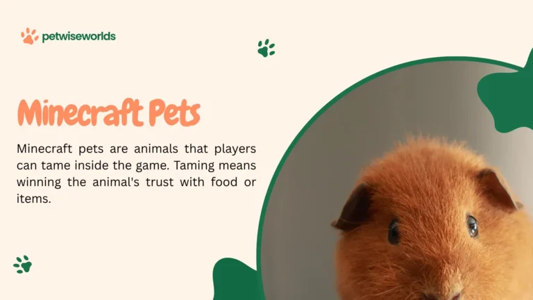 minecraft pets showing a tamed wolf and cat beside a player