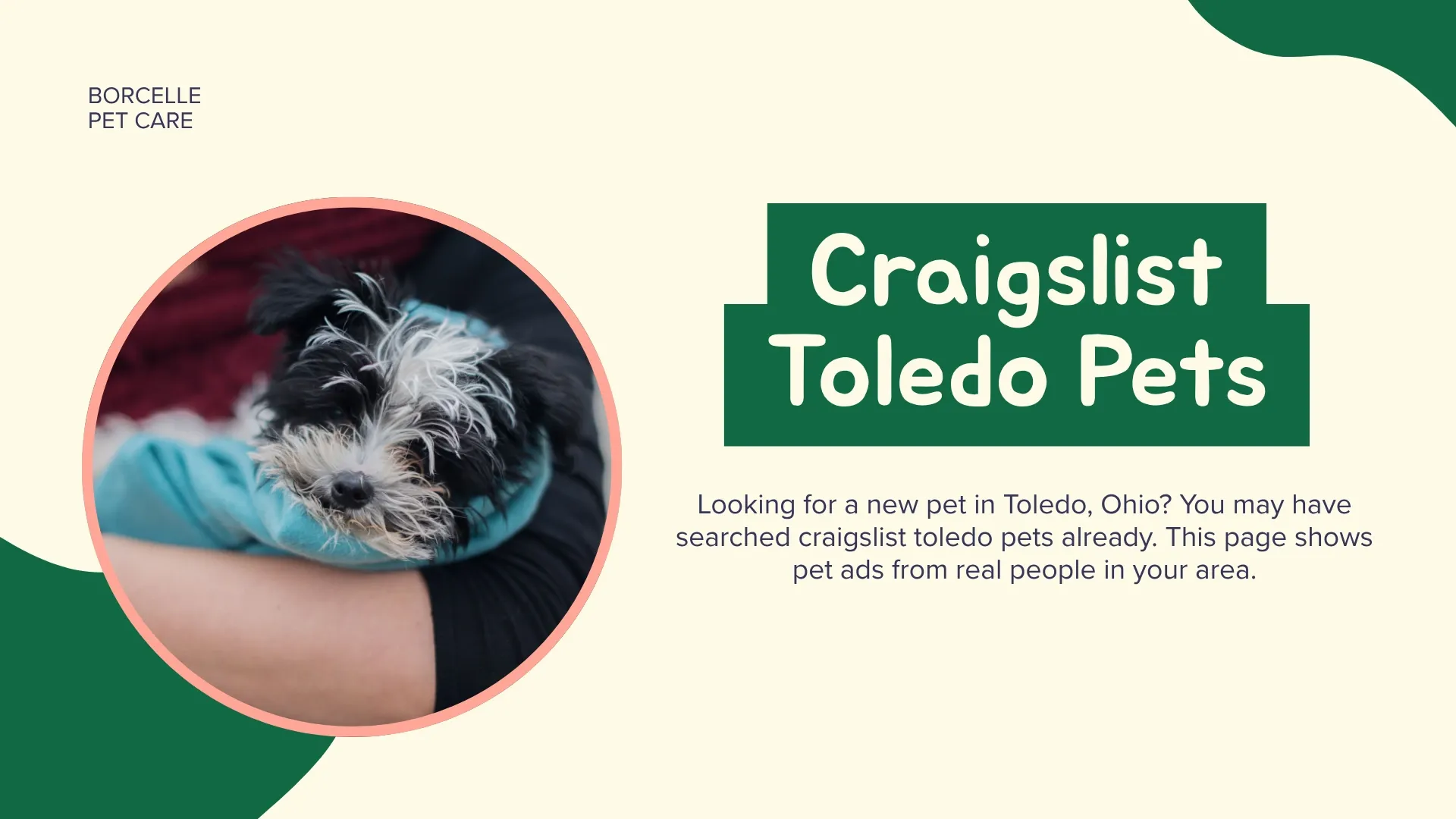 person searching craigslist toledo pets listings on a laptop with a dog beside them