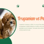 Trupanion vs Pets Best pet insurance comparison for dogs and cats