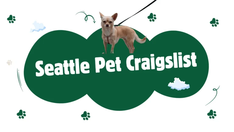 seattle pet craigslist dog meetup in a public park
