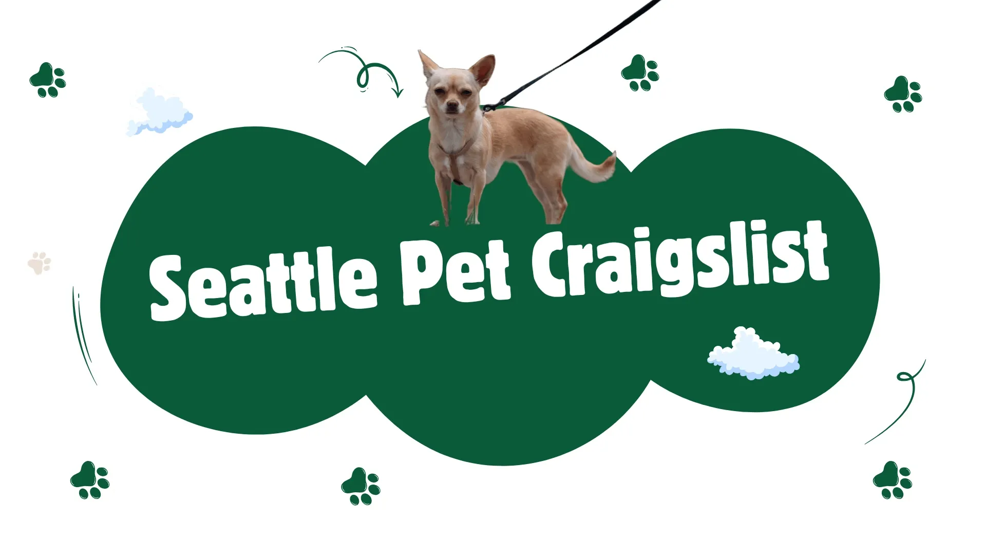 seattle pet craigslist dog meetup in a public park