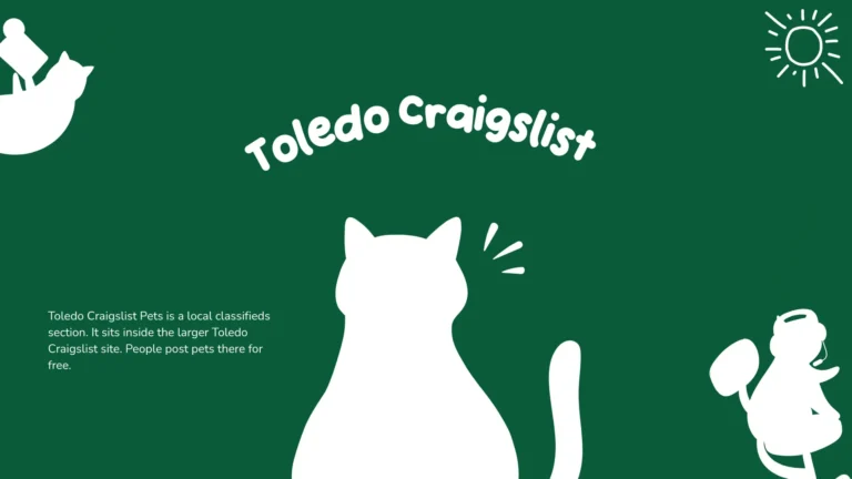 person browsing toledo craigslist pets listings on laptop with dog