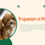 Playable pets mod Sims 4 screenshot showing a controllable dog