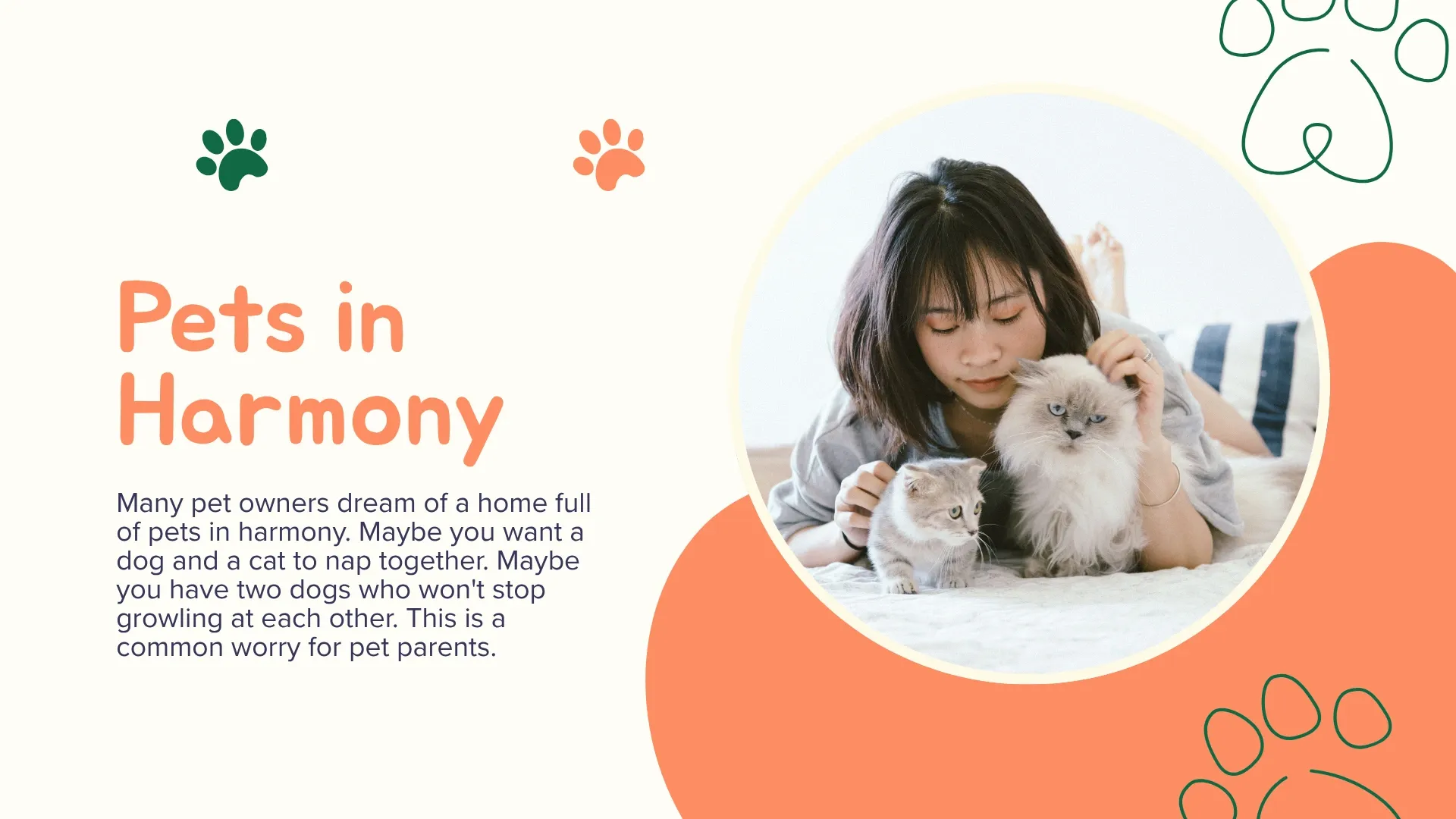 dog and cat resting peacefully together showing pets in harmony