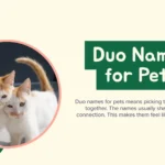 two pets sitting together showing cute duo names for pets