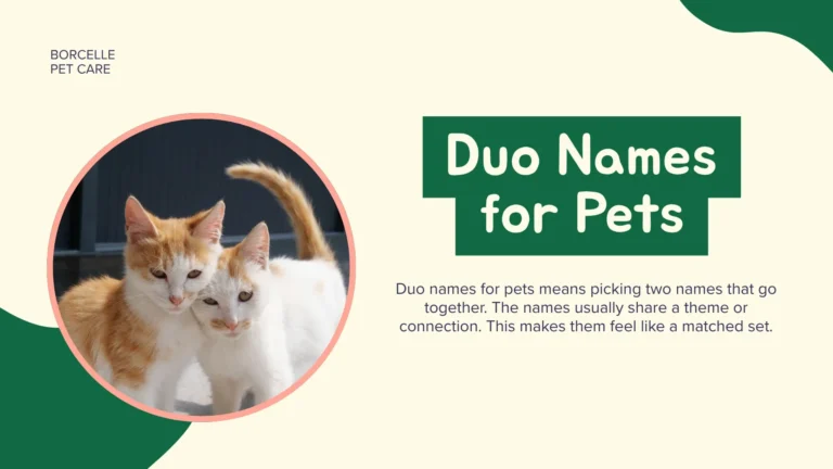 two pets sitting together showing cute duo names for pets